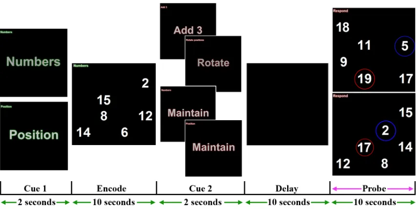 Figure 3: Task design of experiment 2. In this example, participants were cued 