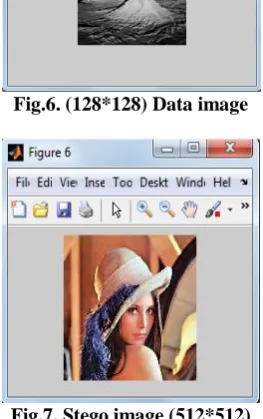 Fig.6. (128*128) Data image 