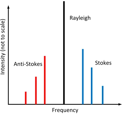 Figure 5.5: A typical Raman spectrum