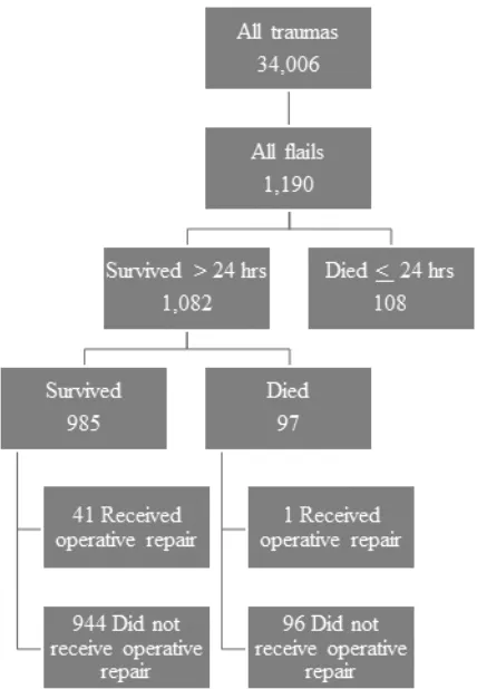 Figure 3: Patient outcome flow chart 