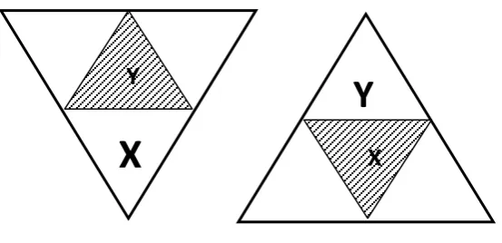 Fig. 3. Combinations of governing and complementary institutional matrices  