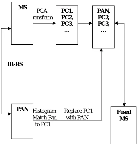 Figure 1 Fusion Scheme of PCA 