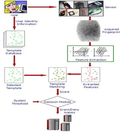 Figure 2 Biometric System Operations 