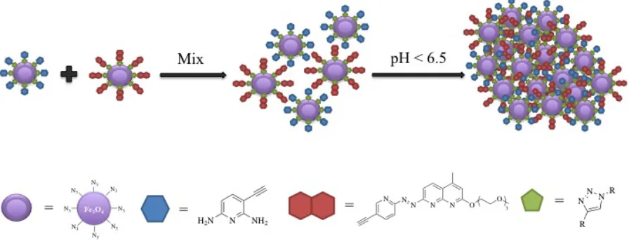 Figure 11: clicking donor and acceptor molecules to SPIO nanoparticles. 