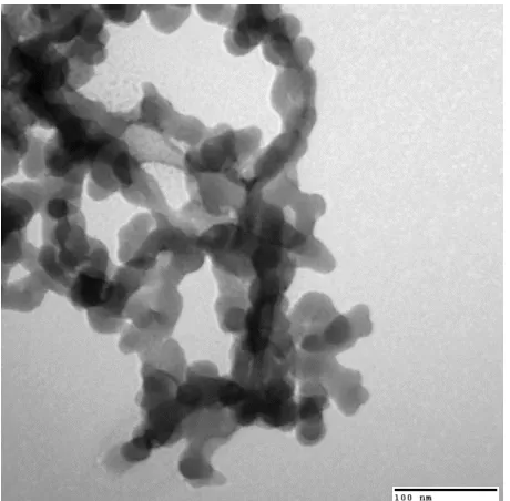 Figure 3.3 TEM image of 15 % PE encapsulated nano-additive (130k magnification) 
