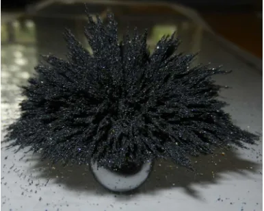 Figure 1. A sample of black magnetic sand from Ladispoli under the action of the magnetic field produced by a spheri- cal permanent magnet located underneath