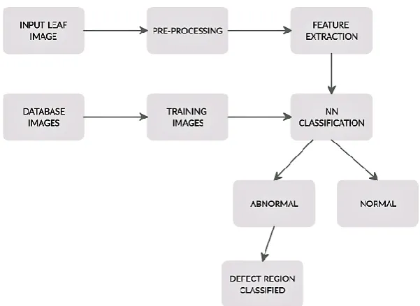 Figure 1: ML based banana leaf disease classification 