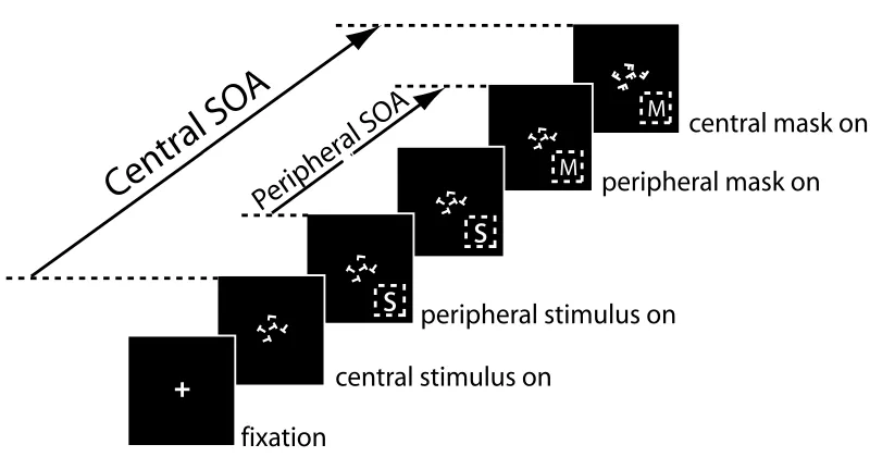 Figure 2.1: Dual-Task experimental setup for a single trial. A ﬁxation cross of 1-degree visual angle is ﬂashedfor 300ms at the onset of each trial, started by the subject