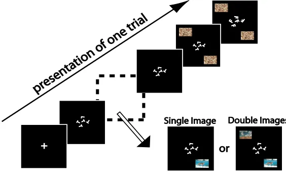 Figure 3.7: Experimental setup for single-image versus double-image experiment. We illustrate here thesetup of a single trial for this experiment