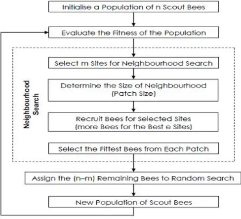 Fig. 1 shows the basic behaviour characteristics of foragers. Assume that there are two discovered food sources: A and B