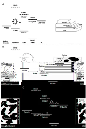 Figure 2-2. (A) Left: Absorption of light by donor material. Right: Solid state photovoltaic device