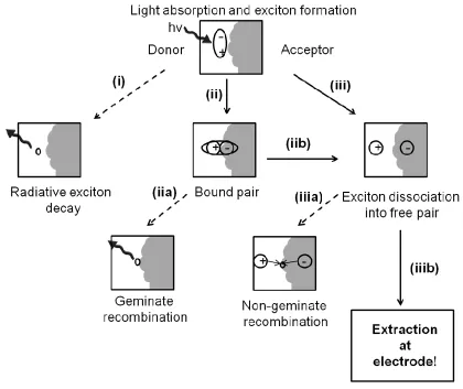 Figure 2-4. Bulk heterojunction active layer showing donor (white) and acceptor (grey) interface