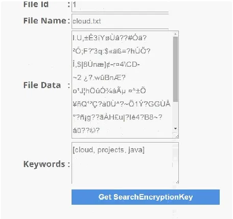 Fig 1: File Upload with Encryption Format. 