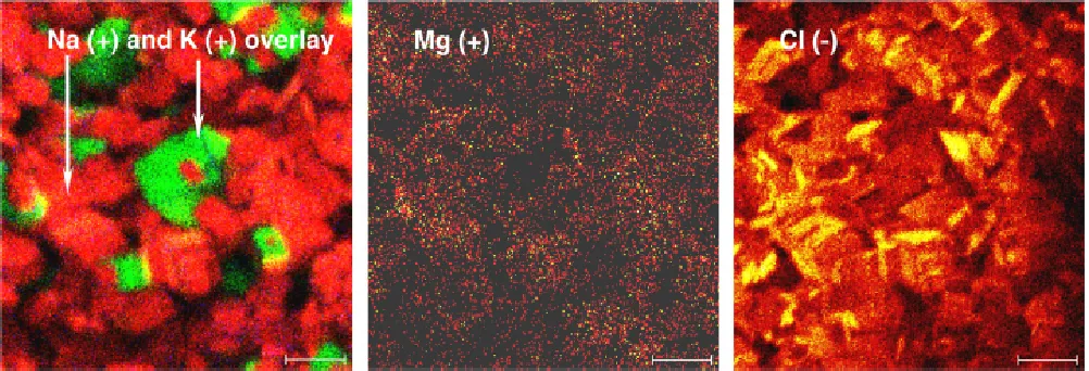 Fig. 3-5. TOF-SIMS images of mixed salt precipitates (produced from the addition of 5 