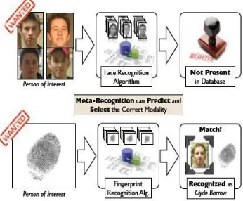 Figure 1:Metarecognition Process 
