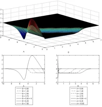 Figure 5.5: ∆B Surface from ADI Numerical Solution, Parameters as in Table 5.1
