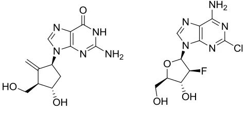 Figure 1.3 – Entecavir (left) & Clofarabine (right) 