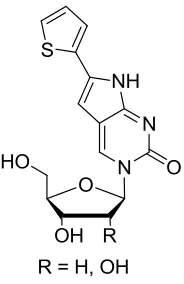 Figure 1.8 – Thiophen-2-yl pC 