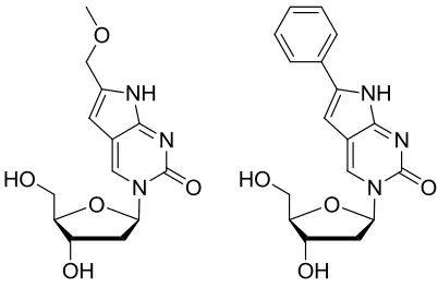 Figure 2.4  - MmepdC & PhpdC 