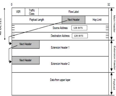 Fig 2: IPv6 Packet Format 