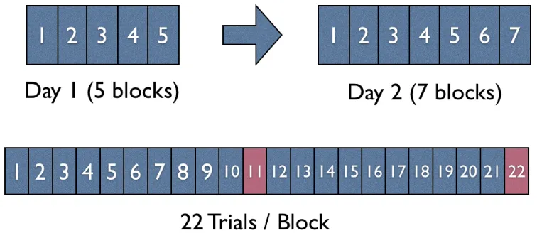 Figure 2.2: A visual representation of the schedule followed by participants over thetwo days.
