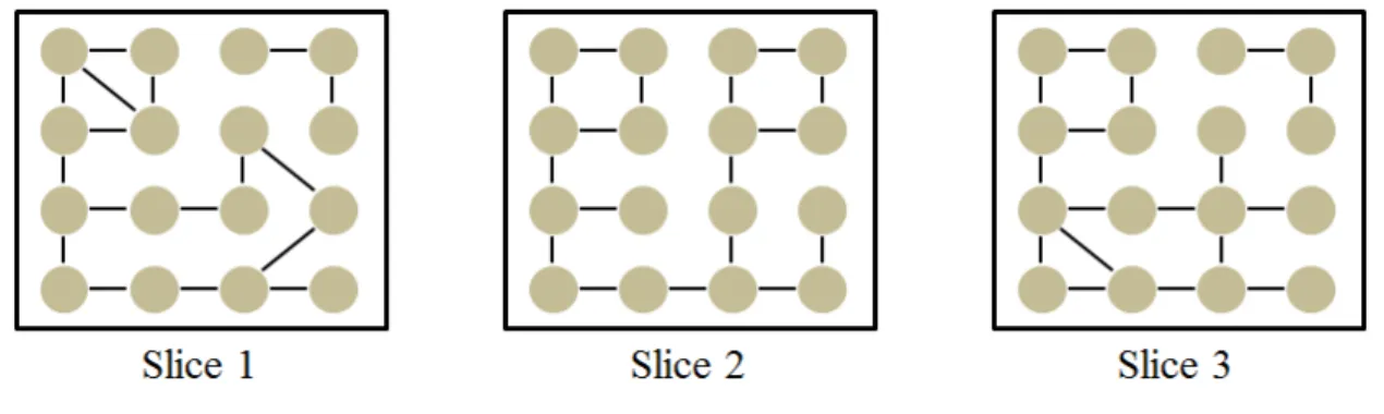 Figure 2.2. Example of Multislice Networks.