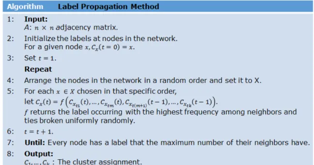 Figure 2.4. Pseudo Codes for Label Propagation Methods.