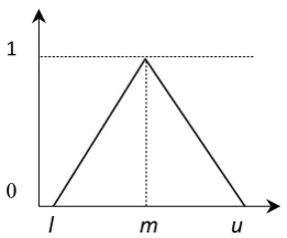 Figure 1. Triangular fuzzy number. 