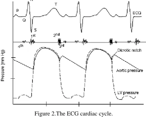 Figure 2.The ECG cardiac cycle.  