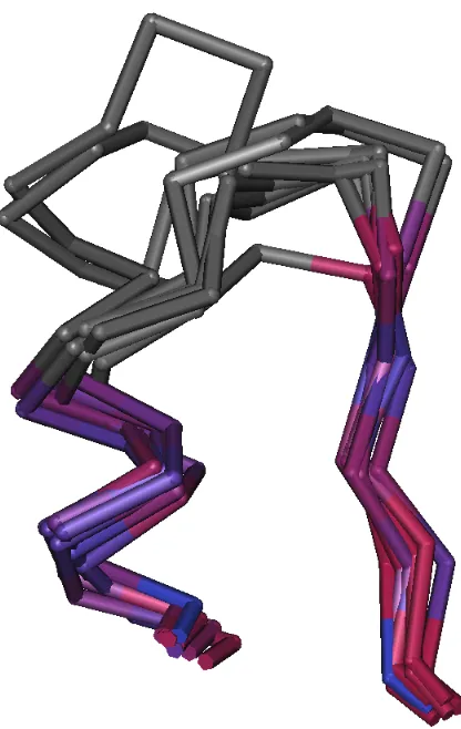Figure 1.3: Structure alignment of a structurally-divergent surface loop (grey) connecting astructurally-conserved α-helix and β-sheet (coloured) in triosephosphate isomerase