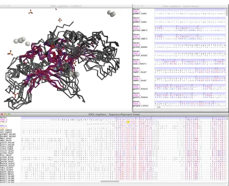 Figure 2.1: Screenshot of the three windows comprising the Cn3D workspace showing ananalysis of the LAGLIDADG Homing Endonuclease family
