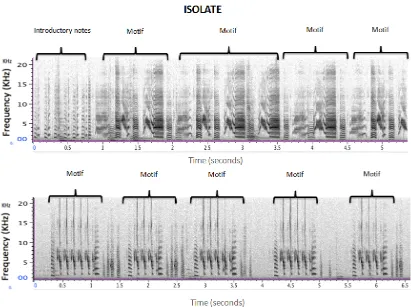Figure 6. Spectrograms of two Isolate conspecific zebra finch songs 