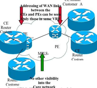 table of every CE, PE and P router can be carried out. On the CE routers, the routes that belong solely to the VPN that the CE was a member of and there are no routes to other VPNs or the core are examined