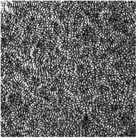 Figure 12. Fragment of diffusive speckle hologram [45]. 