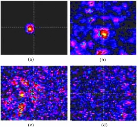 Figure 8. Images of a point source in the XY photoreceptor plane with the width of the layer 200 microns