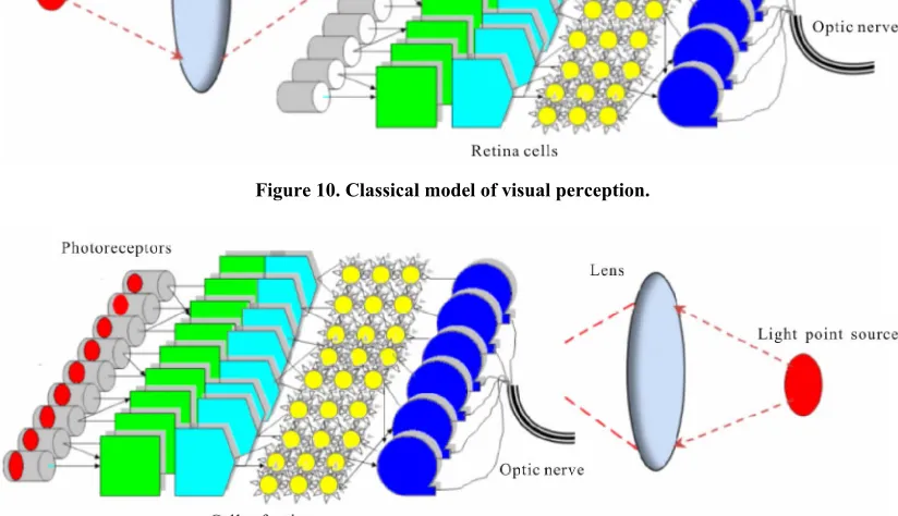 Figure 10. Classical model of visual perception. 