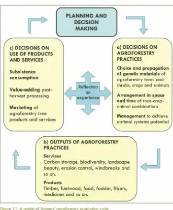 Figure 11. A model of farmers' agroforestry