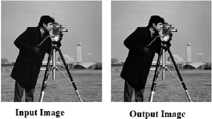 Figure 5: Input and Output Images 