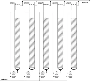 Figure 3- 2: Schematic diagram of the lab-scale DFBBR Figure 6-1: Schematic diagram of DFBBRs  