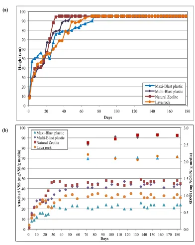 Figure 4-3:  (a) change in heights of expanded bed, (b) attached VSSthe attached VSS of each media  inventory, and (c) Average and SD of 