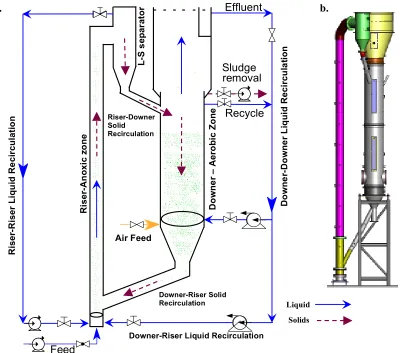 Figure 5-1:Figure 3- 1: (a) Schematic and (b) 2-D view of the pilot-scale LSCFB  (a) Schematic and (b) 2-D view of the pilot-scale LSCFB 