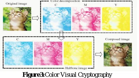 Figure 4: Secret Colour Image 