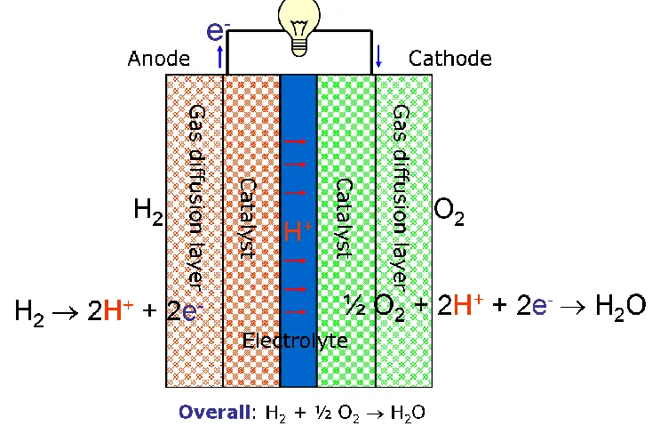 Figure 1-2 Schematic of the working principle for PEMFCs. 