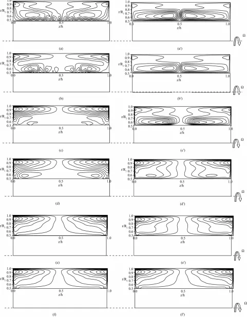 Figure 6. Streamlines ψ−* = ψ/(Ωh2) patterns for RΩ = 2.0 × 105, G = 2.0: Γ = −1.0 (a); Γ = −0.8 (b); Γ = −0.6 (c); Γ = −0.4 (d); Γ = 0.2 (e); Γ = 0.0 (f); Γ = 1.0 (a’); Γ = 0.8 (b’); Γ = 0.6 (c’); Γ = 0.4 (d’); Γ = 0.2 (e’); Γ = 0.0 (f’)