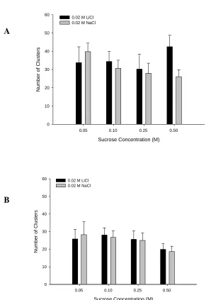 Figure 3.6. Total phase number of clusters. Total number of clusters + SEM for (A) acquisition phase and (B) extinction phase, of rats drinking a solution of 0.05 M sucrose + LiCl (n=7), 0.05 M sucrose + NaCl (n=6), 0.10 M sucrose +  NaCl or LiCl (n=6/grou