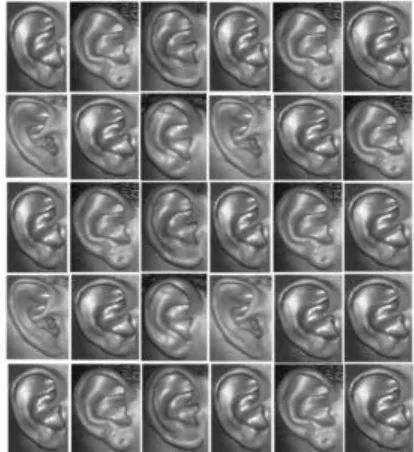 Figure 2: Sample Ear images from database 