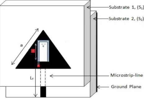 Fig. 2 Simulation antenna module of IUSPCETMSA  