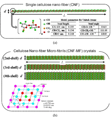 Figure 5. Cellulose nanofiber (CNF) and micro-fibril (CNF-MF) models by United Atom method for MD