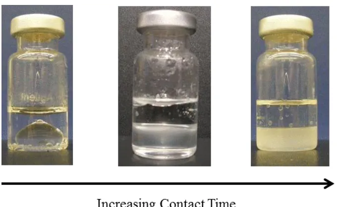 Figure 5.1   Photographs of the water/amide-IL system at increasing contact times showing the development of an emulsion layer
