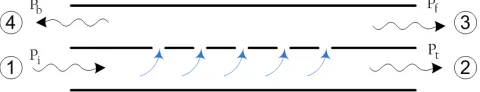 Figure 3. Cross section of the directional coupler and coupling holes